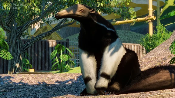 Planet Zoo South America Pack (steam key) -- RU