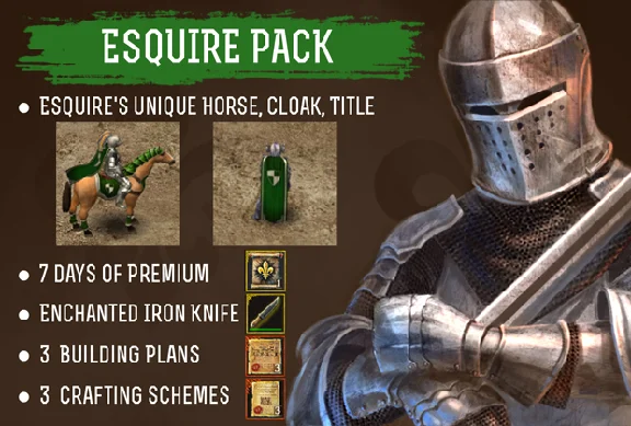 Wild Terra Online Esquire Pack Steam Key ( Global )