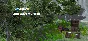 Little Adventurer III (STEAM KEY/REGION FREE)