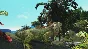 🎮Zoo Tycoon: Ultimate Animal Collection XBOX ONE 🔑Key