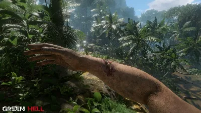 🔥 Green Hell - STEAM ONLINE (Region Free)