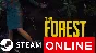 ⭐️ The Forest - STEAM ОНЛАЙН (Region Free)