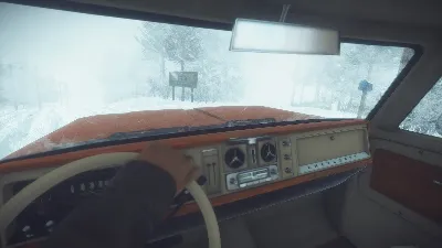 Kona (Steam Key Region Free / GLOBAL)