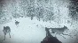 Kona (Steam Key Region Free / GLOBAL)