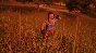 Hello Neighbor (Steam Key Region Free / GLOBAL)