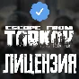 Escape from Tarkov Standart key Global - Region Free