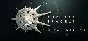 Endless Space 2 Digital Deluxe Edition Steam Key GLOBAL