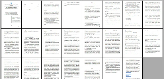FEFU - Essay - State and municipal orders - 23 pages