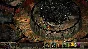 Planescape Torment & Icewind Dale Enhanced XBOX Code 🔑