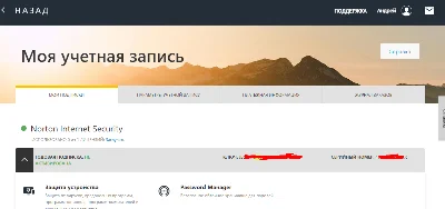Norton Internet Security 1 PC 440 дней.Paypal