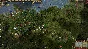 ⭐️ Europa Universalis IV / ⭐️Epic games