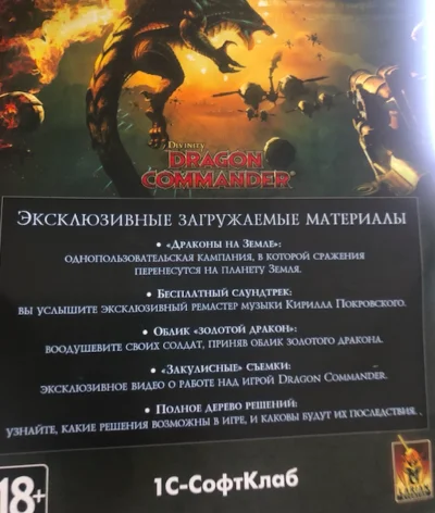 Divinity: Dragon Commander (Steam ключ)