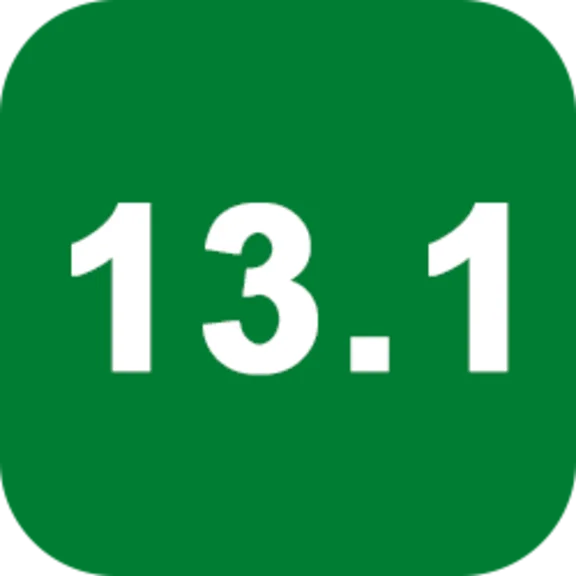 Option 2 DHS 13.1
