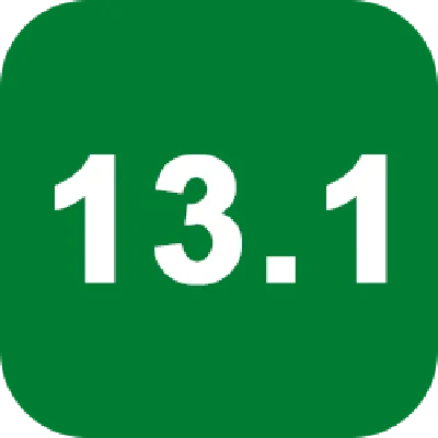 Option 4 DHS 13.1