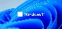 Windows 11 PRO - партнер MICROSOFT ✅