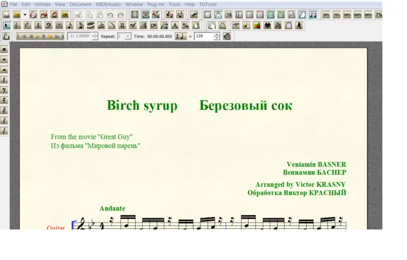 BIRCH SYRUP by Basner for 7-string guitar