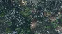 SpellForce 3: Fallen God (Steam key) -- RU