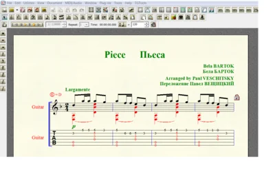 PIECE (d-moll) by Bartok for 6-string guitar