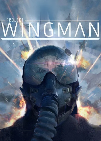 Project Wingman STEAM KEY RU+CIS