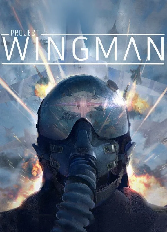 Project Wingman STEAM KEY RU+CIS
