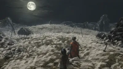 Sekiro: Shadows Die Twice⚡Steam RU/BY/KZ/UA