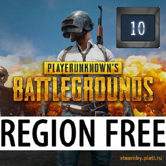 PUBG: BATTLEGROUNDS [PLUS] paid version +EMAIL 10 Years