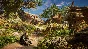 🌍🔑Assassin´s Creed® Valhalla XBOX/X|S/Key