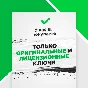 Untitled Goose Game 💳Steam account Global offline