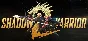 Shadow Warrior 2 💳Steam account Global offline