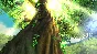 Baldo the guardian owls XBOX | KEY