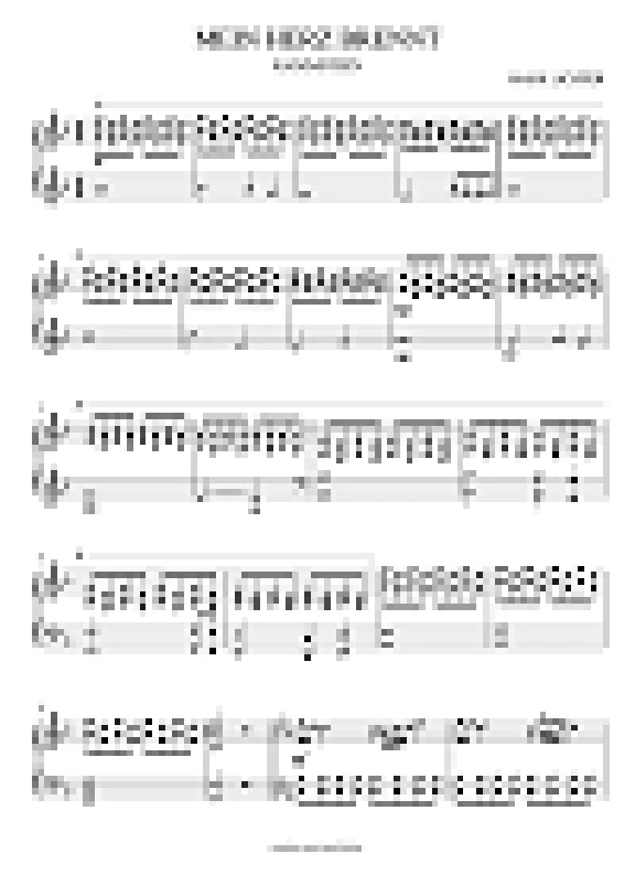 Rammstein - Mein Herz Brennt (sheet music)