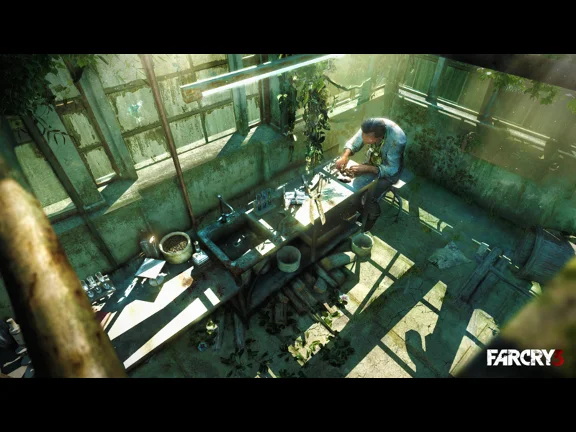Far Cry 3 Deluxe Edition + IMAGE + DISCOUNT (REG. FREE)