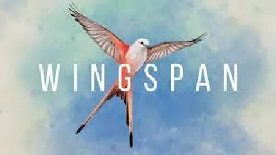 🔥Wingspan 💳 Steam Ключ Global + 🎁