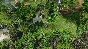 SpellForce 3: Fallen God 💎АВТОДОСТАВКА STEAM РОССИЯ