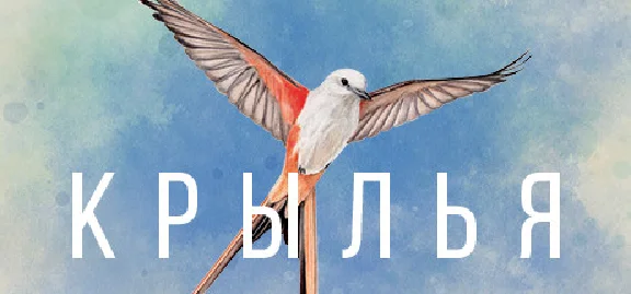 Wingspan 💎 STEAM GIFT RU