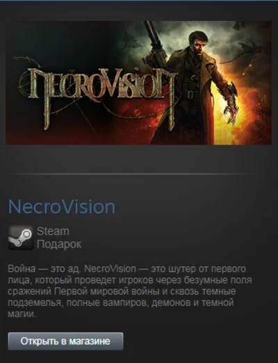 NecroVision (Steam Gift Region Free / ROW)