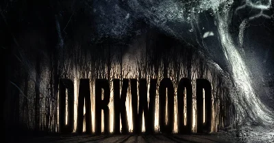 Darkwood (STEAM) Аккаунт 🌍Region Free