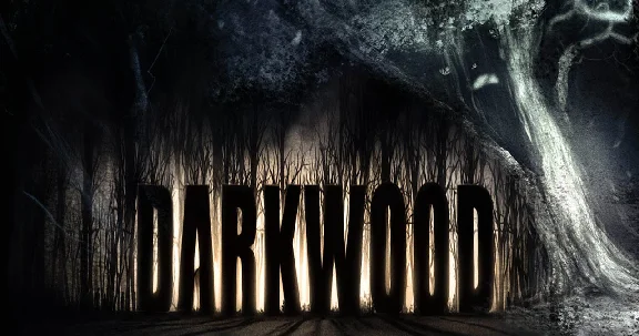 Darkwood (STEAM) Аккаунт 🌍Region Free