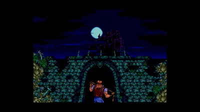 Castlevania Anniversary Collection (Steam Ключ/Global)