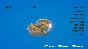 Battle Tops STEAM KEY REGION FREE GLOBAL ROW
