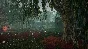 Nephise: Ascension STEAM KEY REGION FREE GLOBAL ROW +🎁