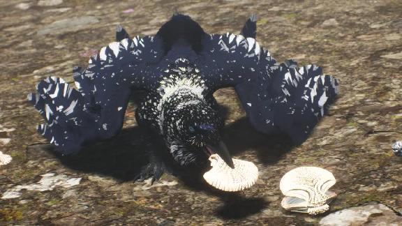 Draconia 💎 АВТОДОСТАВКА STEAM GIFT FOR RUSSIA