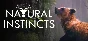 Natural Instincts: European Forest 💎 STEAM GIFT RU