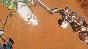 Surviving Mars  STEAM KEY REGION FREE GLOBAL ROW + 🎁