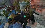 The precious onyx panther (Jeweled Onyx Panther)