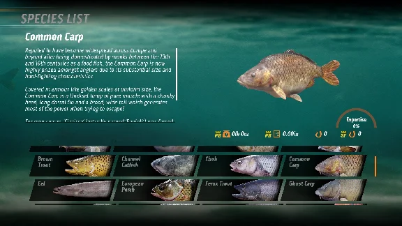 The Catch: Carp & Coarse Fishing Deluxe Edition 💎STEAM