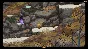 Copperbell (Steam Global Key)