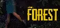 The Forest - Steam Global offline 💳