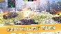 World of Tanks Blitz - Space Pack 💎 DLC STEAM GIFT RU