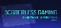 Borderless Gaming 💎 АВТОДОСТАВКА STEAM GIFT РОССИЯ